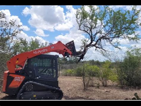 clearing mesquit with skid steer|mesquite tree grubbing.